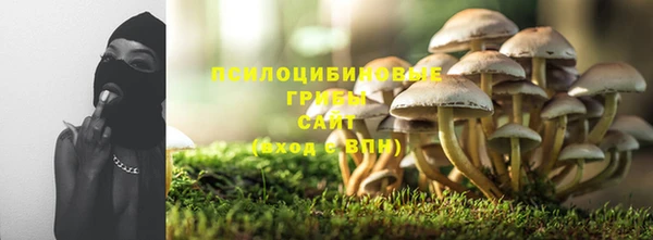 прущие крисы Арсеньев