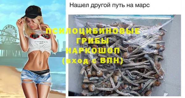 прущие крисы Арсеньев
